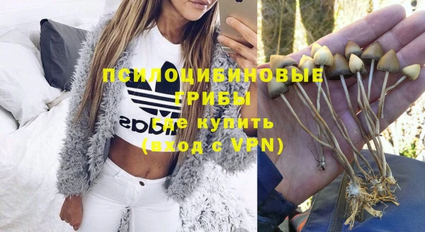 хмурый Коряжма