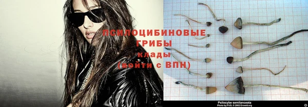 тгк Корсаков